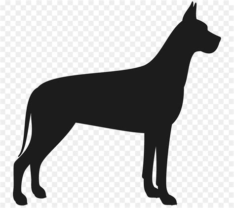 Free Great Dane Silhouette, Download Free Great Dane Silhouette png ...