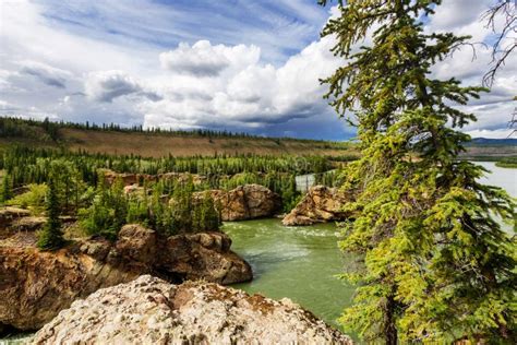 Klondike river stock image. Image of city, green, klondike - 211545117