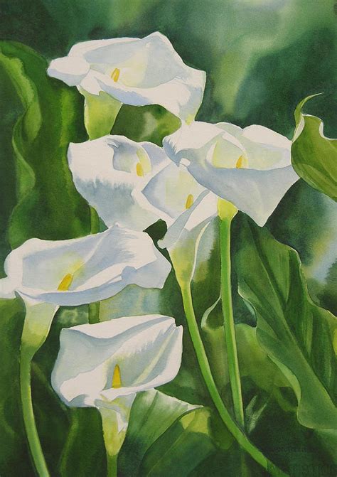 Calla Lilies Painting by Sharon Freeman - Fine Art America