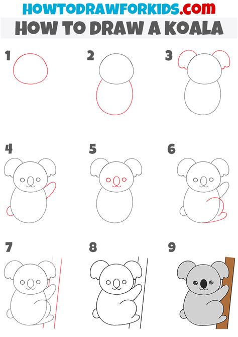 Koala Bear Drawing Step By Step