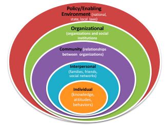 Chapter 3 Social Ecological Model Models And Mechanisms