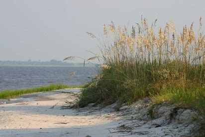 Coastal Plain - A guide to Georgia