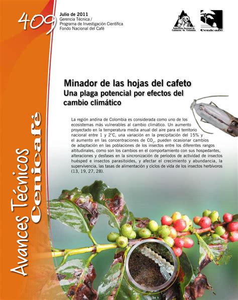 (PDF) The coffee leaf miner Leucoptera coffeellum (Lepidoptera ...