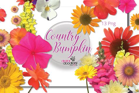 Country Bumpkin (158155) | Illustrations | Design Bundles