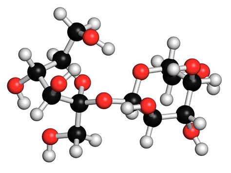 Sucrose Sugar Molecule Photograph by Molekuul