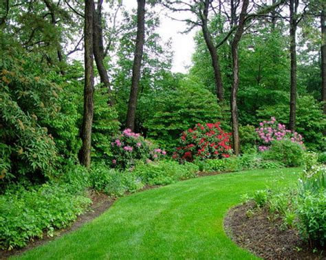 Mixed Shrub Border | Houzz