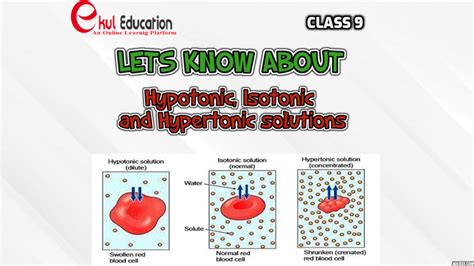 HYPOTONIC , ISOTONIC AND HYPERTONIC SOLUTION - EKUL EDUCATION