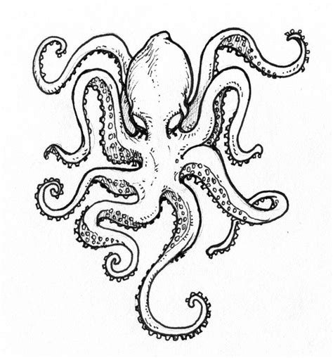 Octopus outline | Octopus drawing, Octopus tattoo, Octopus outline