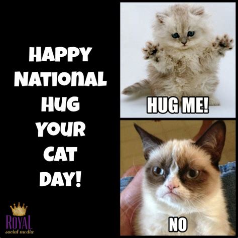 National Cat Day 2015 Memes