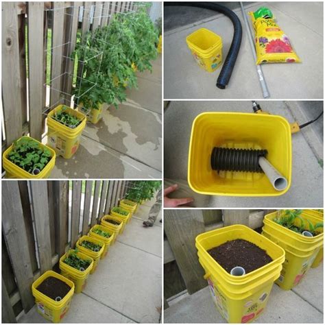 Self Watering Container Garden | Diy self watering planter, Container gardening, Container ...