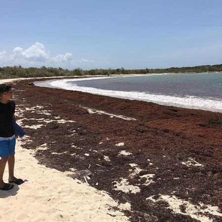 Playa Sucia (Cabo Rojo) - 2020 All You Need to Know BEFORE You Go (with Photos) - Tripadvisor