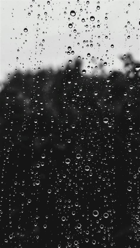 350+ Rain Wallpapers [HD] | Download Free Images & Stock Photos On Unsplash