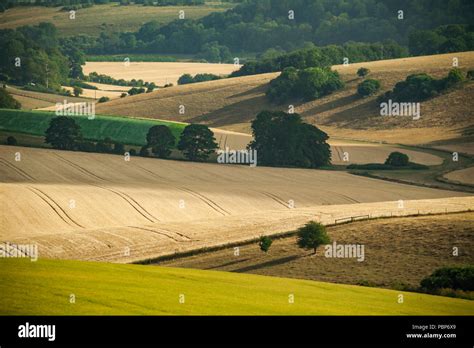 Summer afternoon in South Downs National Park, West Sussex, England Stock Photo - Alamy