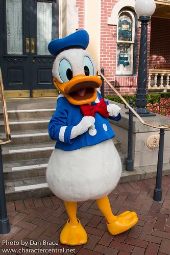 Donald Duck at Disney Character Central