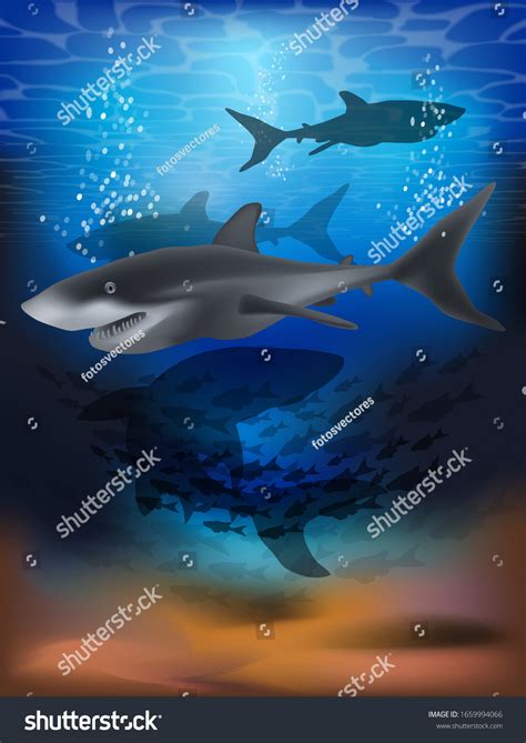 Underwater Wallpaper Shark Vector Illustration Stock Vector (Royalty ...