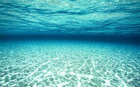 Ocean Underwater Wallpaper HD | PixelsTalk.Net