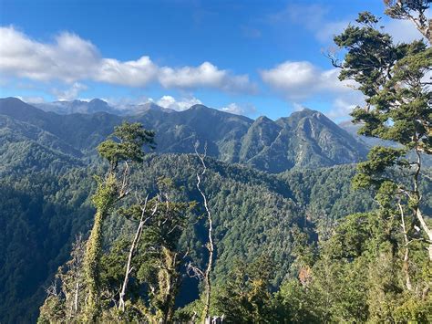 Paparoa Great Walk April 2021 | Arnold River Ramblings