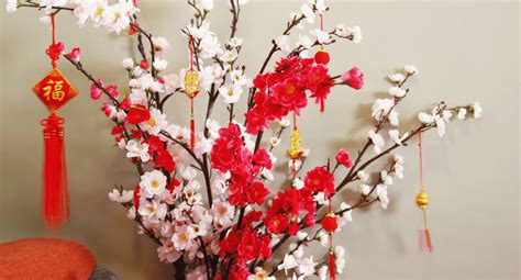 31 Chinese New Year Flowers + Fruits Ideas To Buy (2024)