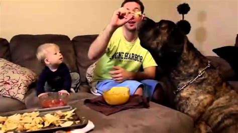 Babies Laughing At Dogs – Too Cute! - YouTube