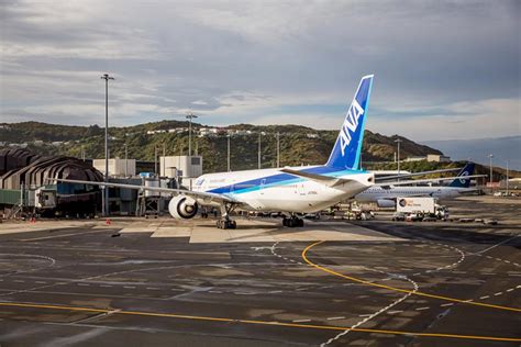 Wellington Airport | Wings Over New Zealand