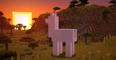 How to Control Llama in Minecraft: The Complete Steps