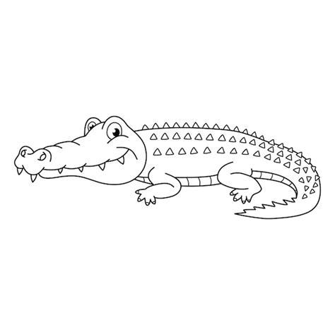 Premium Vector | Alligator vector illustration. cartoon alligator. crocodile hand draw isolated.