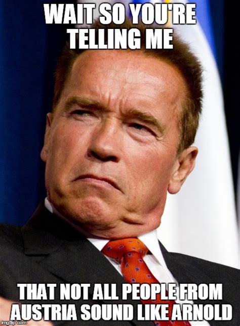 Arnold Schwarzenegger Meme