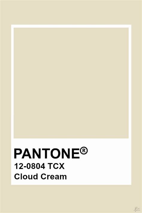 Pantone Cloud Cream Color Palette