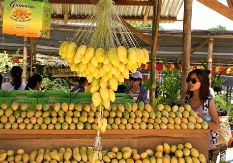 Three-day Festival of Pakistani Mangoes, Extended Season for Mango Lovers - Your Dubai Guide