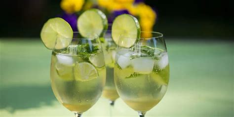 The Best 28 Aperitif Cocktails to Make at Home - The Mixer