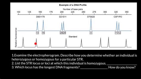 How to read STR electropherogram - YouTube