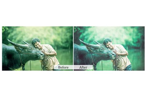 90 Nature Photoshop Actions By Cilo Creative | TheHungryJPEG