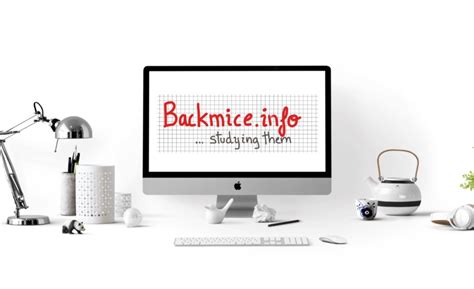 "Back mice: a prevalence study" (Low Back Pain) | backmice.info