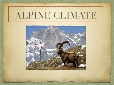 (PDF) Alpine climate - DOKUMEN.TIPS