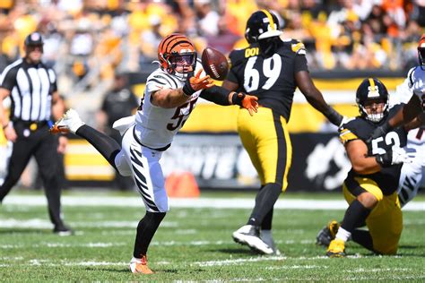 Coach Speak: What the Bengals did to beat the Steelers - Cincy Jungle