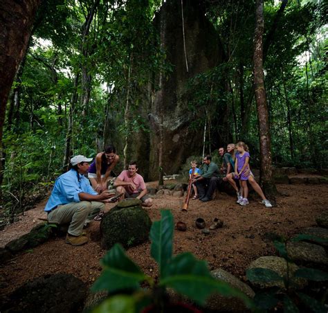 Mossman Gorge Tours - Dreamtime Walk - Adventures Port Douglas