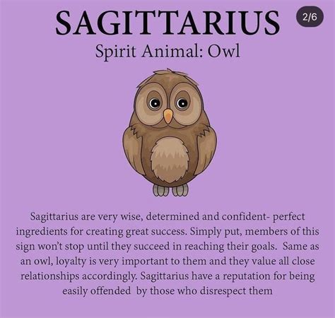 Sagittarius Spirit Animal: Owl | Zodiac sagittarius facts, Sagittarius ...