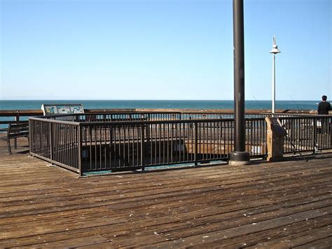 Ventura Pier - Pier Fishing in California