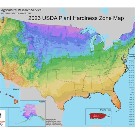 USDA Updates Hardiness Zones Map to Account for Warming