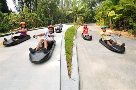 5 Reasons Why Skyline Luge Should Be On Your List of Places to Visit in Singapore - KKday Blog