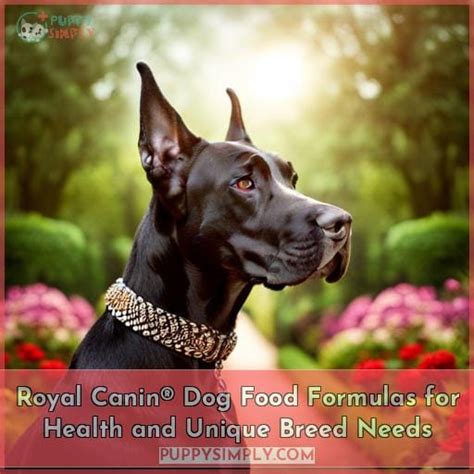 Royal Canin® Dog Food Formulas for Health and Unique Breed Needs