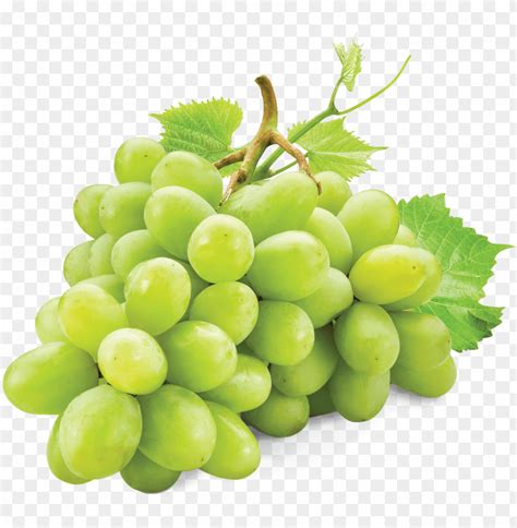 White Grape - White Grape PNG Transparent With Clear Background ID ...