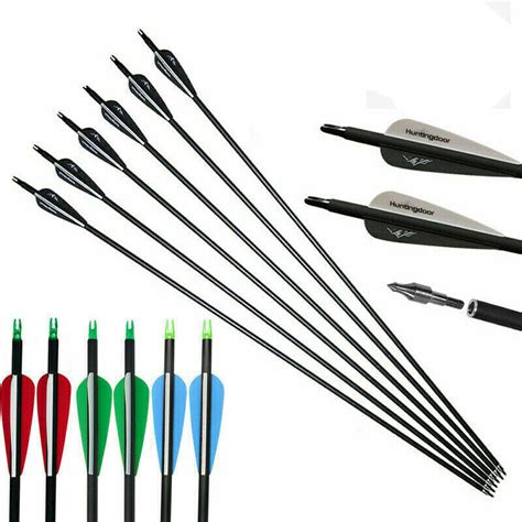 12Pcs 31" Carbon Arrows Archery for Outdoor Bow Hunting Screw-in Point Target | eBay