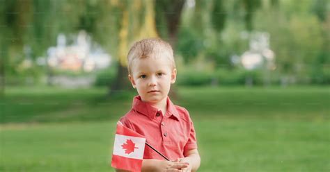Caucasian baby toddler boy standing on green grass in park outside and holding waving Canadian ...