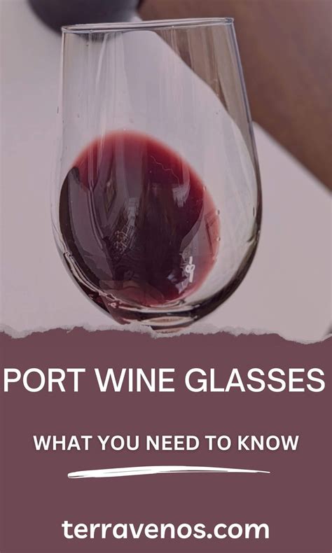 Port Wine Glasses: What You Need to Know — tèr·ra·ve·nos