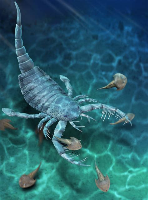 Giant Scorpions Used to Roam the Deadly Seas - Nerdist