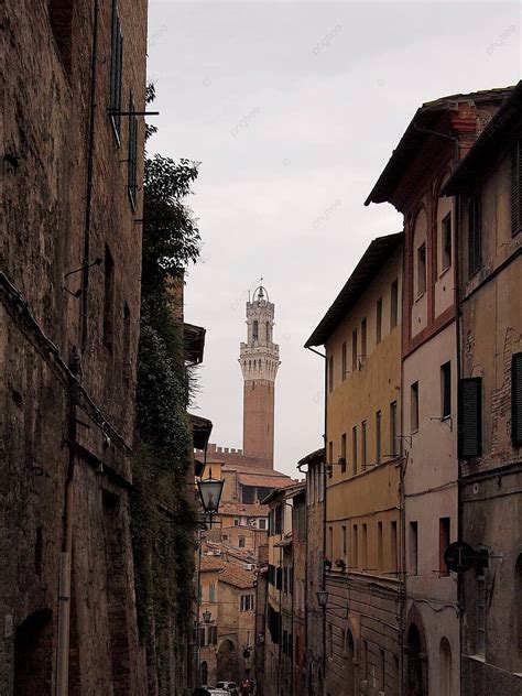 View On Medieval Siena Architecture Medieval Culture Photo Background And Picture For Free ...