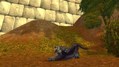 WoW SoD: List of all Druid pre-raid BiS gear in WoW Classic Season of Discovery