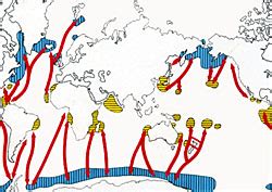 Migration of the Southern Humpback Whales