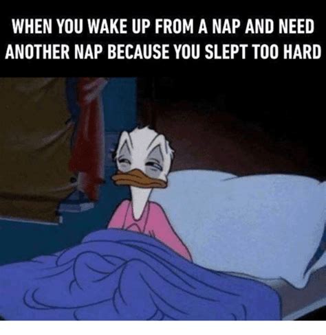 50+ Funny Nap Memes For The Sleep Deprived